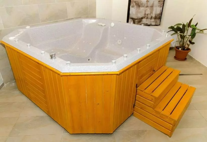 Pensiunea Poiana Viselor