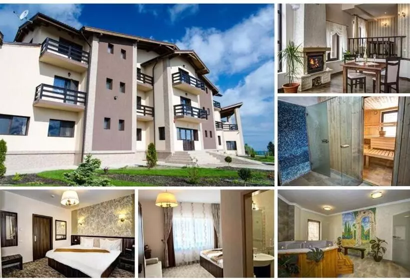 Pensiunea Poiana Viselor