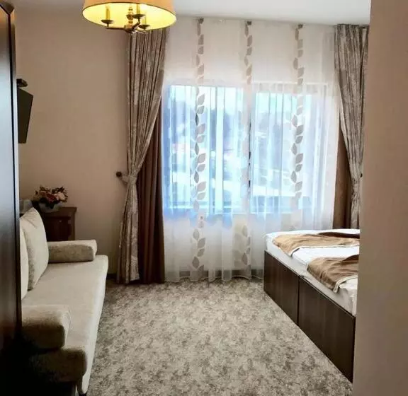 Pensiunea Poiana Viselor