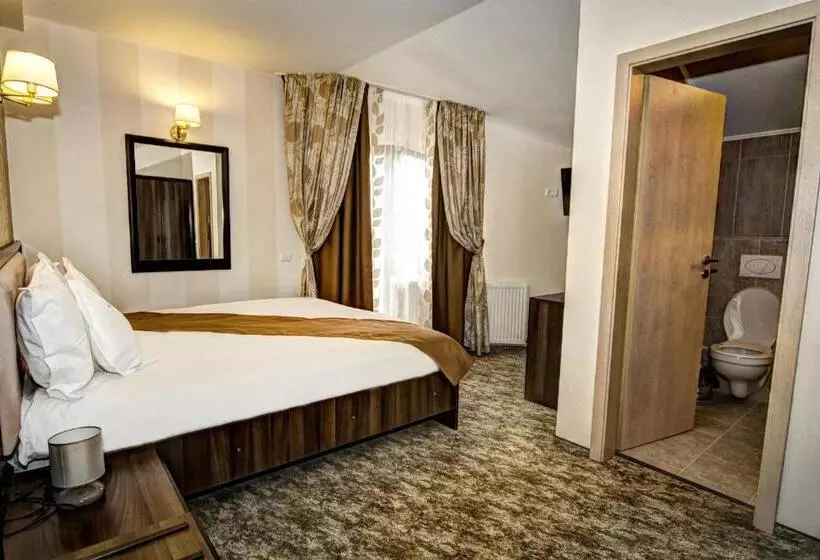 Pensiunea Poiana Viselor