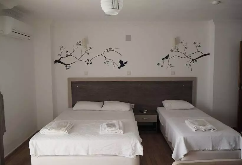 Güneş Yönü Omay Otel