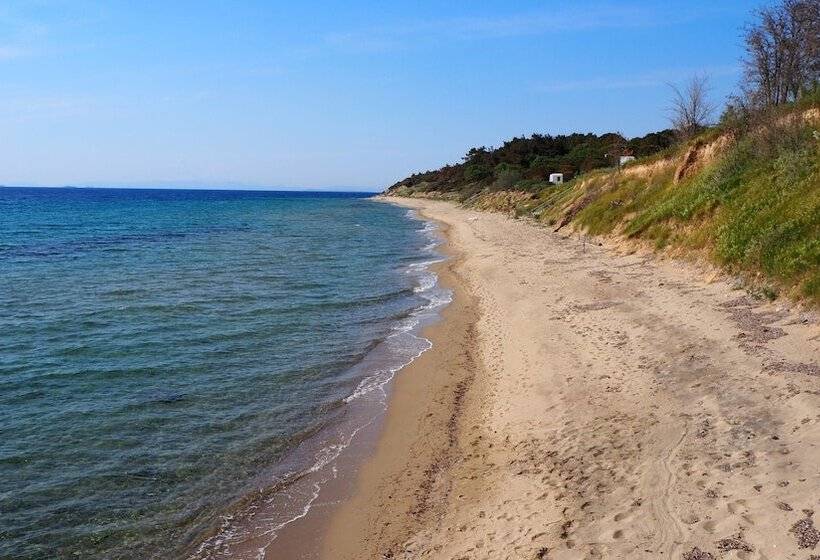 Güneş Yönü Omay Otel