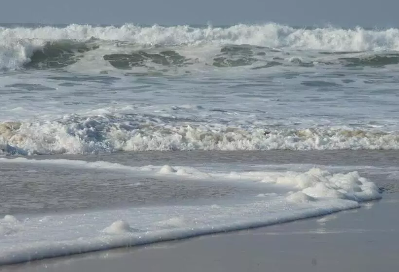 Majatalo Chambres D Hotes La Hourqueyre