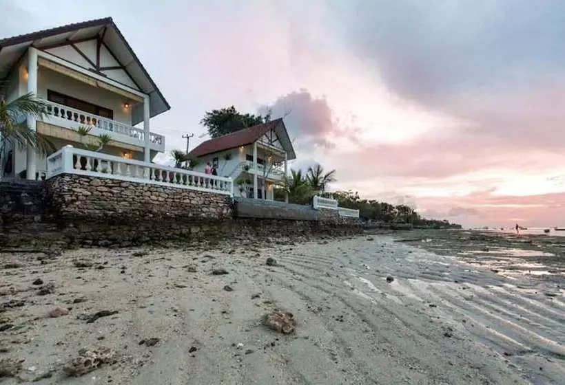 ペンション Seaweed Villa Ceningan