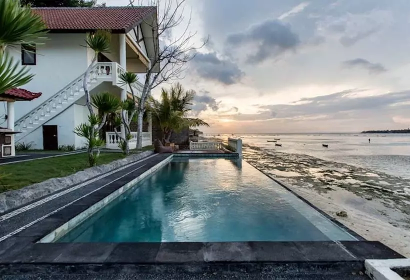 ペンション Seaweed Villa Ceningan