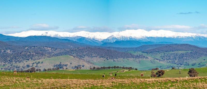 Bed and Breakfast Brigham House