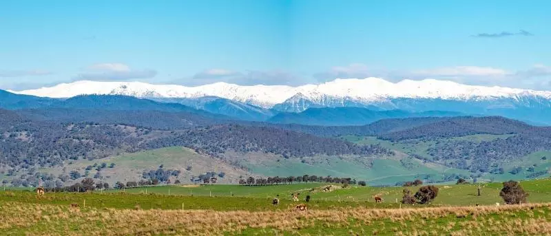 Aamiaismajoitus (B&B) Brigham House