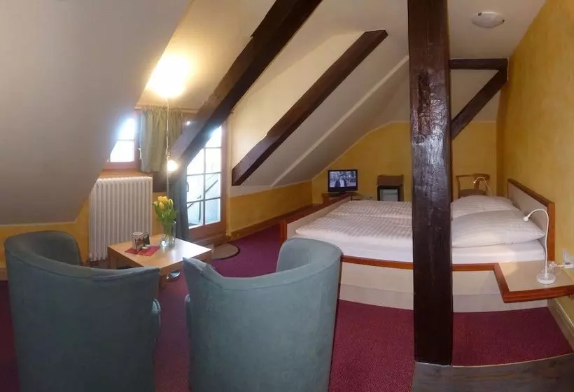 Hotelli Drostenhaus Feldberg