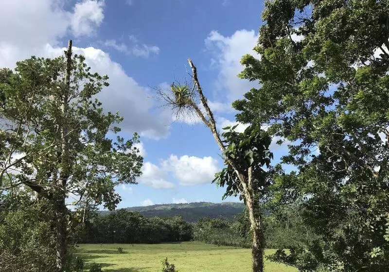 Hotelli Paradise Hot Springs Thermal Resort