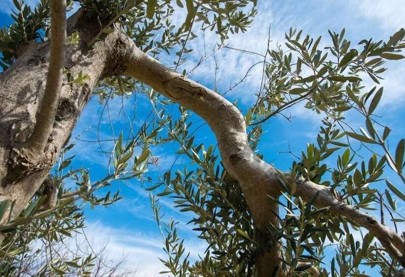 בית מלון כפרי Agriturismo San Giuliano