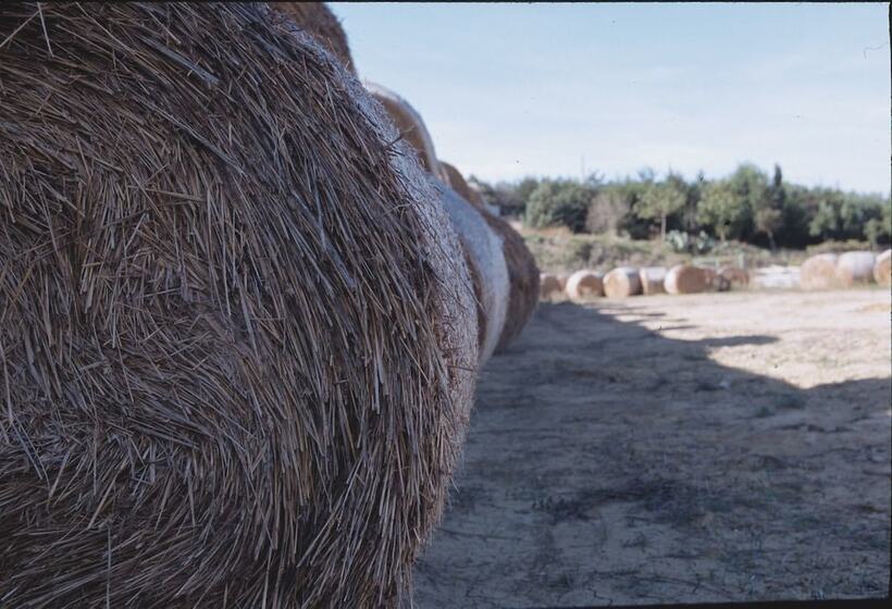 בית מלון כפרי Agriturismo San Giuliano