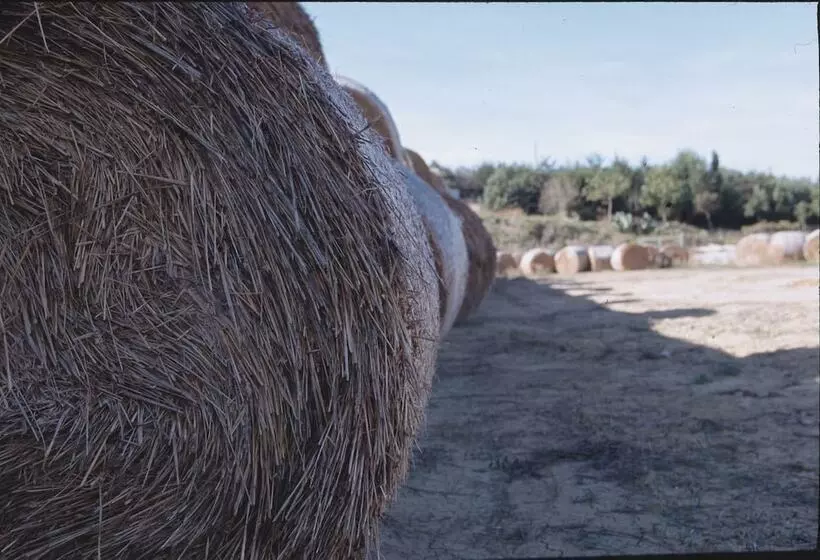 هتل روستایی Agriturismo San Giuliano