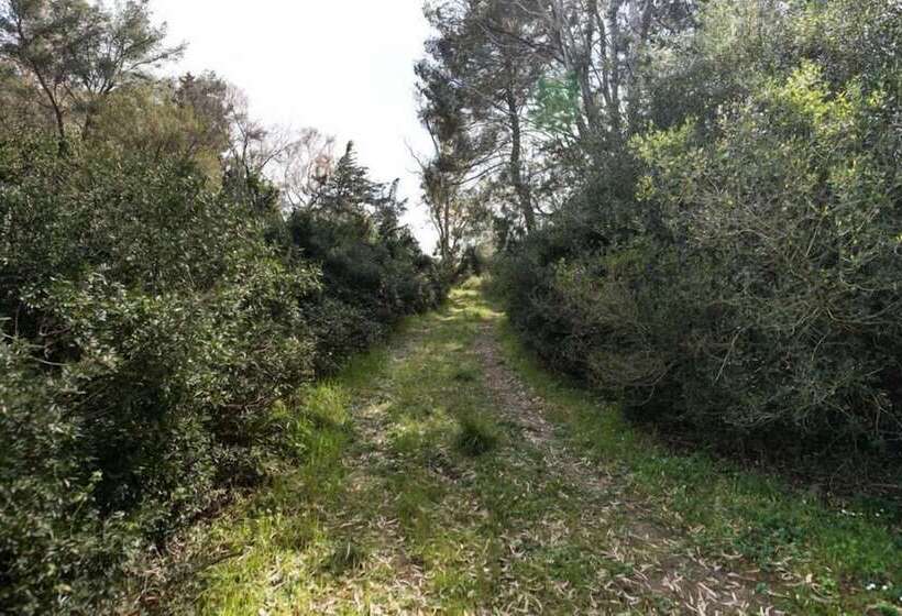 בית מלון כפרי Agriturismo San Giuliano