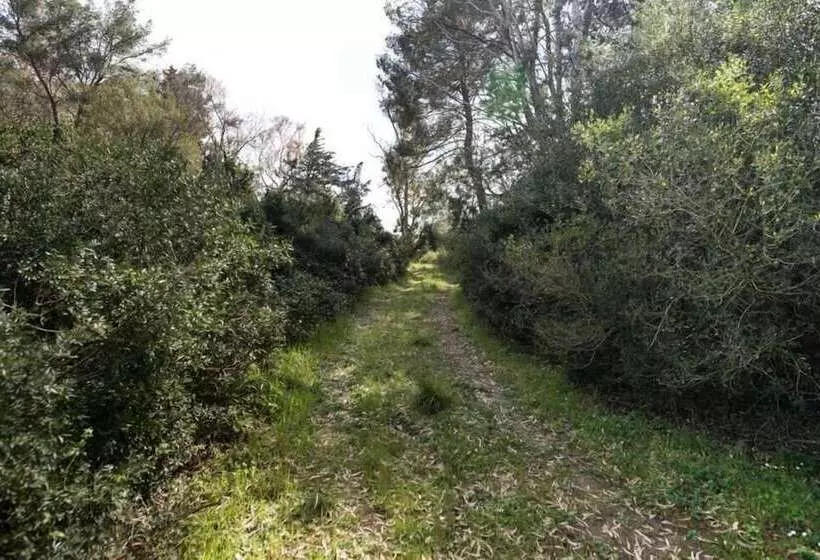 هتل روستایی Agriturismo San Giuliano