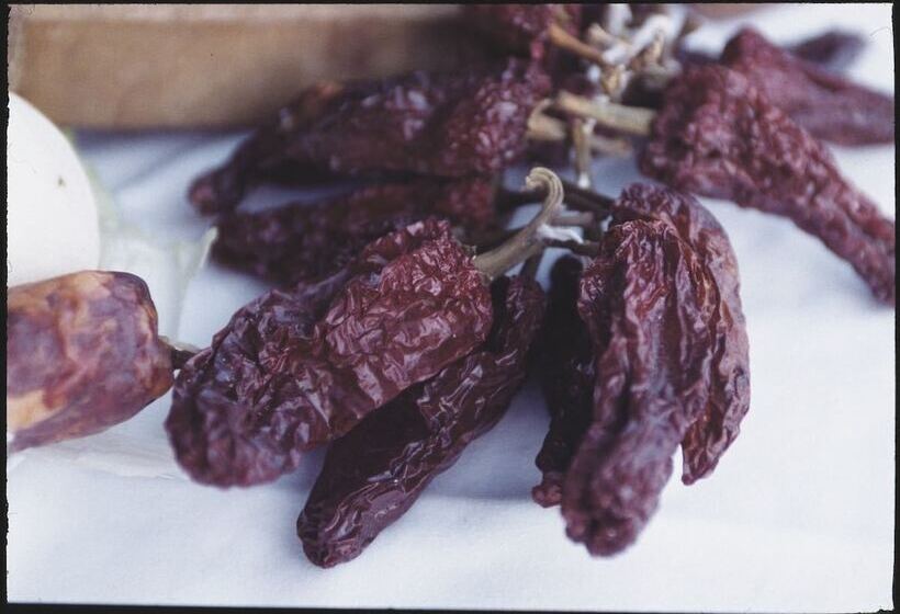 בית מלון כפרי Agriturismo San Giuliano