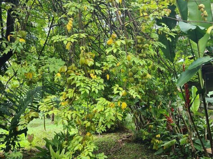 ホテル Santa Maria Volcano Lodge
