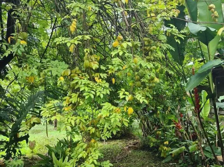 Hotelli Santa Maria Volcano Lodge