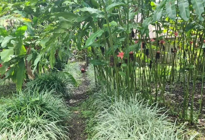 Hotelli Santa Maria Volcano Lodge