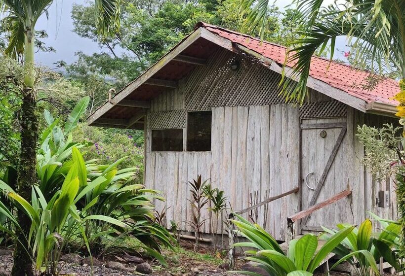 ホテル Santa Maria Volcano Lodge