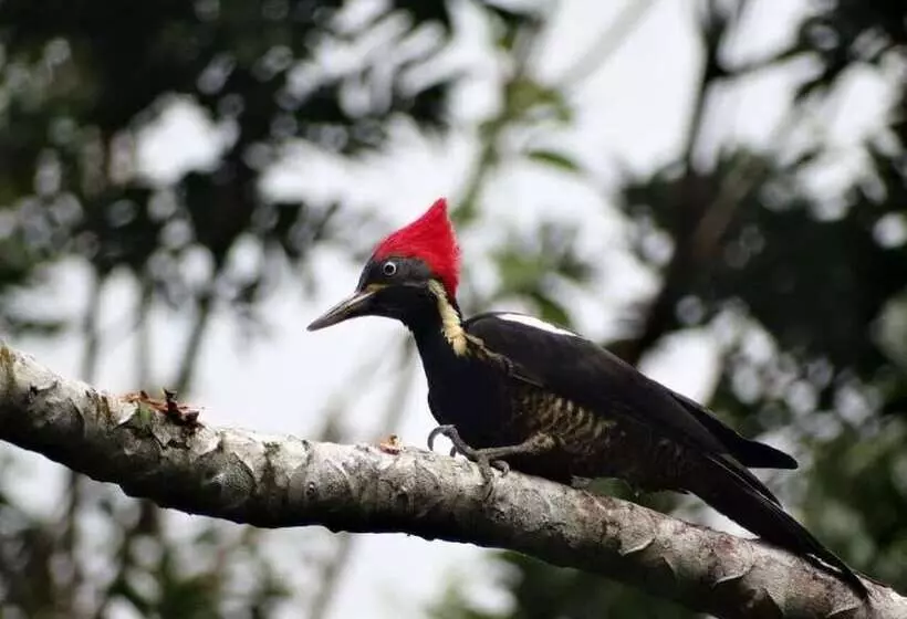 Hotelli Santa Maria Volcano Lodge