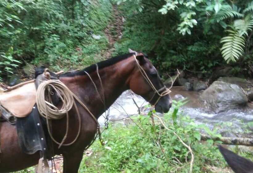 ホテル Santa Maria Volcano Lodge