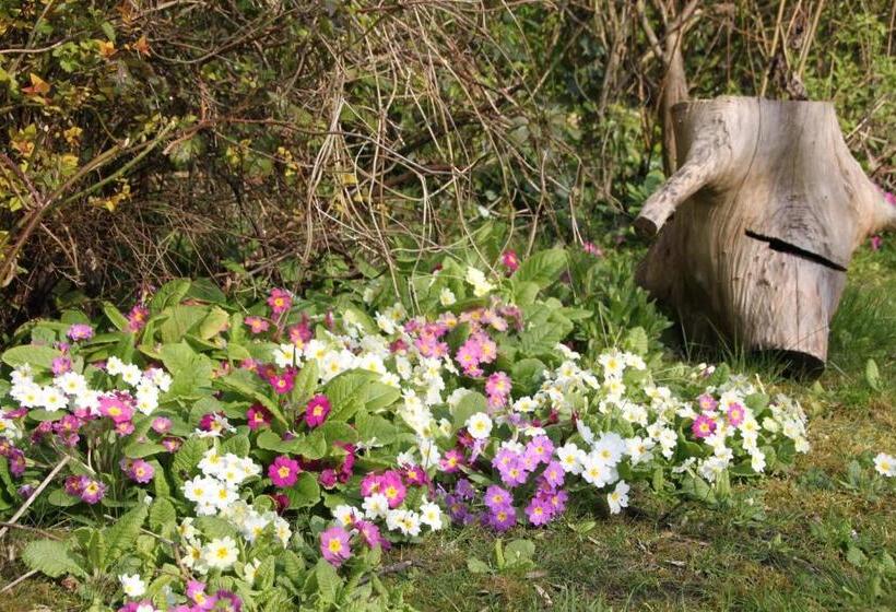 ペンション Monts Et Merveilles