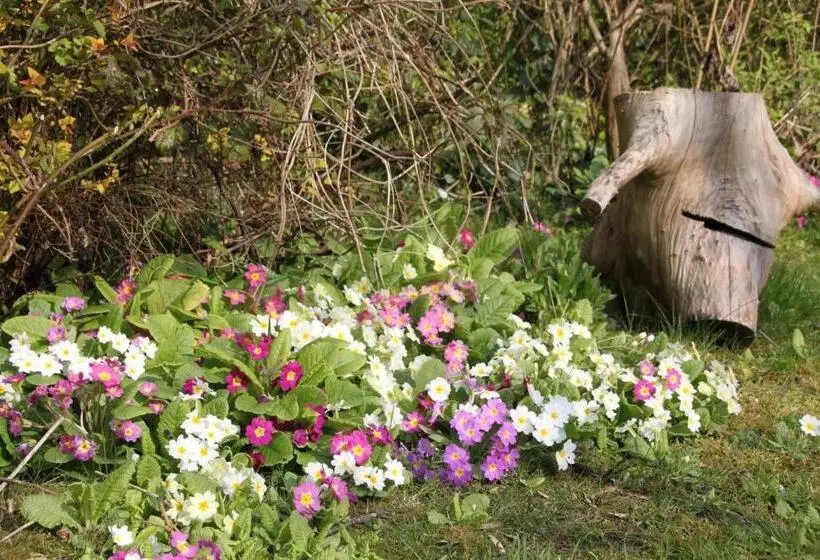 Majatalo Monts Et Merveilles