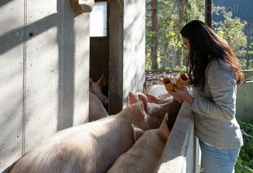 Agriturismo Borgo Titol