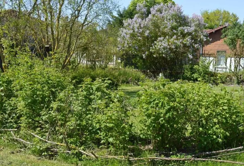 ベッドアンドブレックファースト Au Passage Des Grues