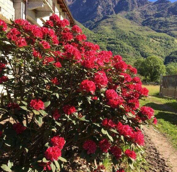 Bed and Breakfast Boscotenso