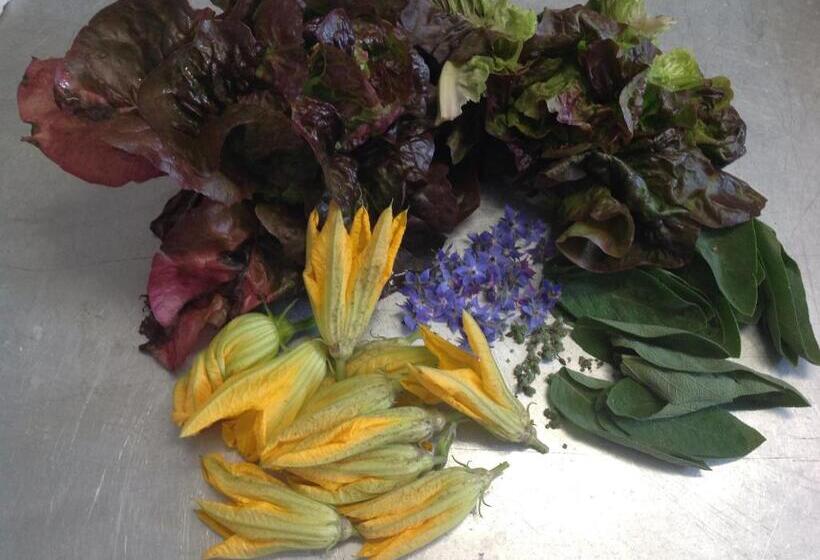 Bed and Breakfast Boscotenso