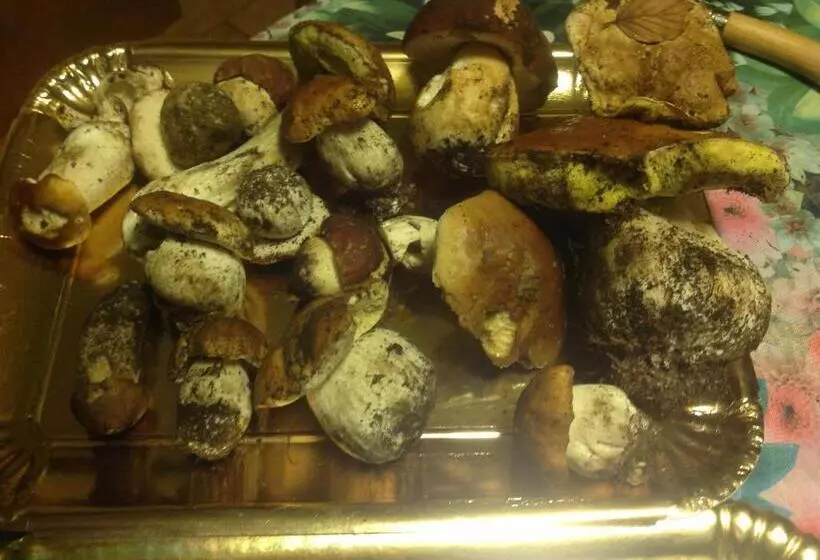 ベッドアンドブレックファースト Boscotenso