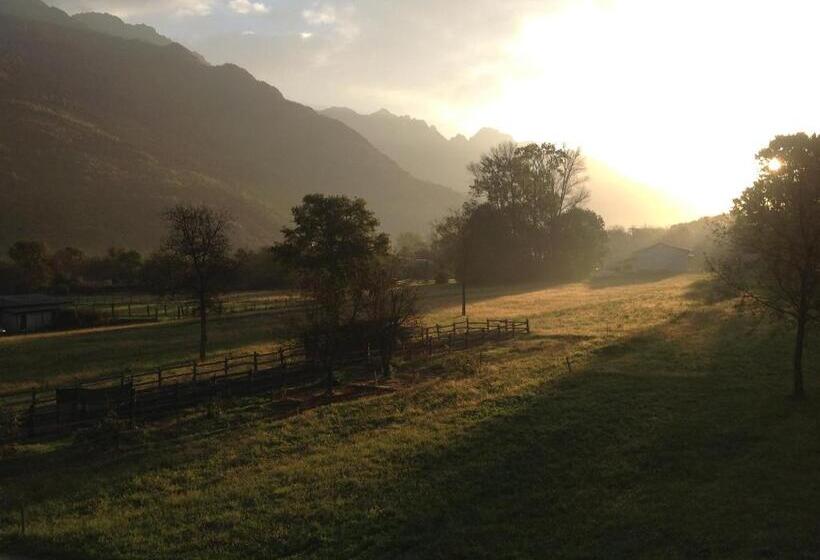 Bed and Breakfast Boscotenso