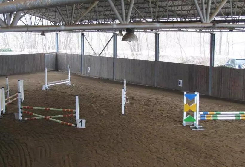 ベッドアンドブレックファースト Boscotenso