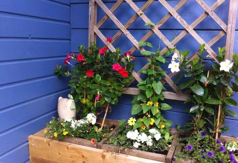 Aamiaismajoitus (B&B) Chambres D Hôtes Le Mont D Anon