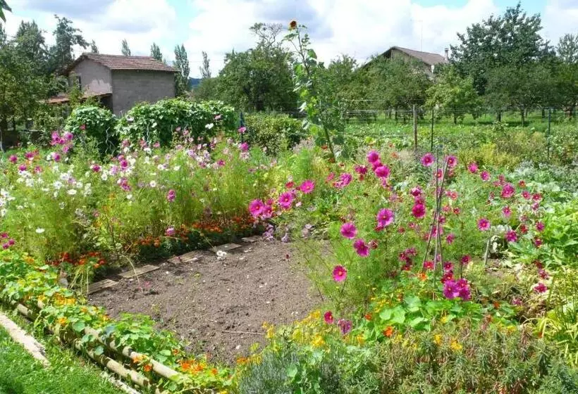 Aamiaismajoitus (B&B) Chambres D Hôtes Le Mont D Anon