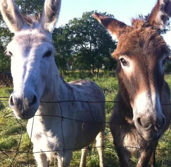 Aamiaismajoitus (B&B) Chambres D Hôtes Le Mont D Anon
