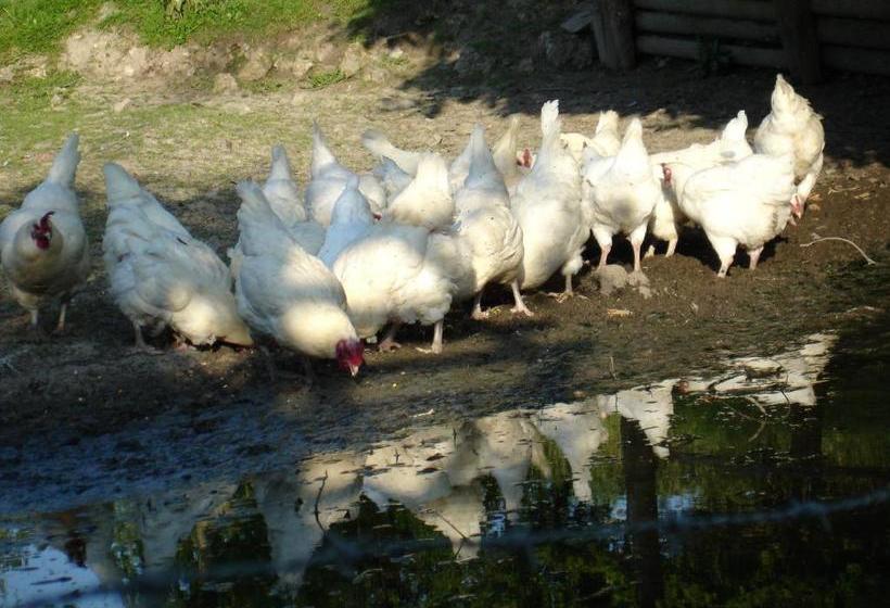 צימר La Ferme Du Pressoir Guest House