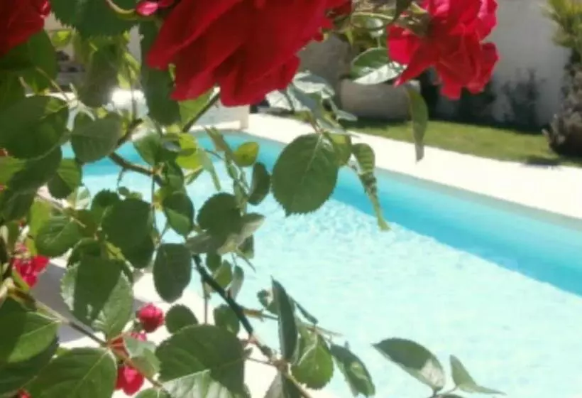 ベッドアンドブレックファースト La Maison Du Baloir