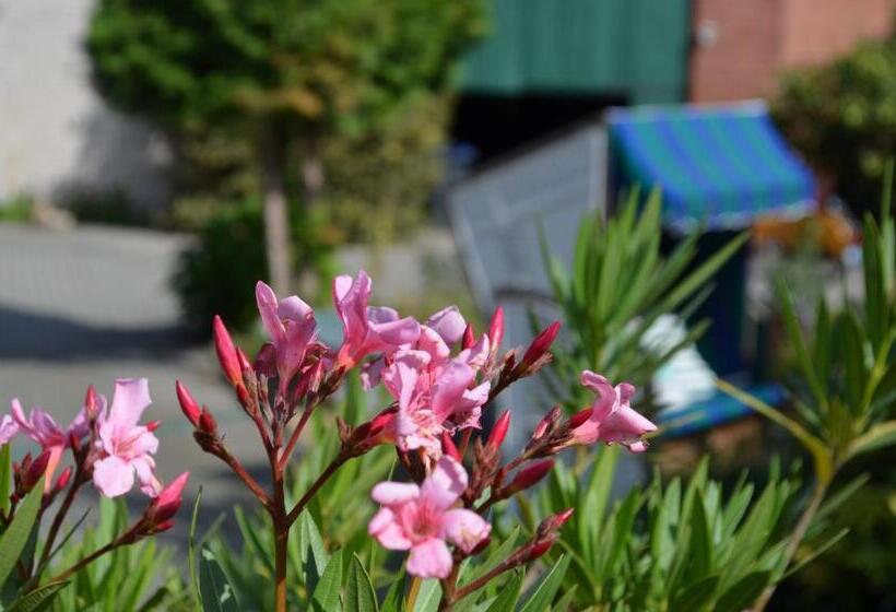 Aamiaismajoitus (B&B) Landhof Liebsch, Mit Pool Und Sauna