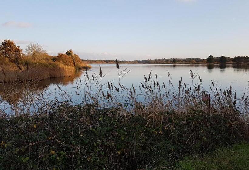 住宿加早餐  L'arbre Voyageur