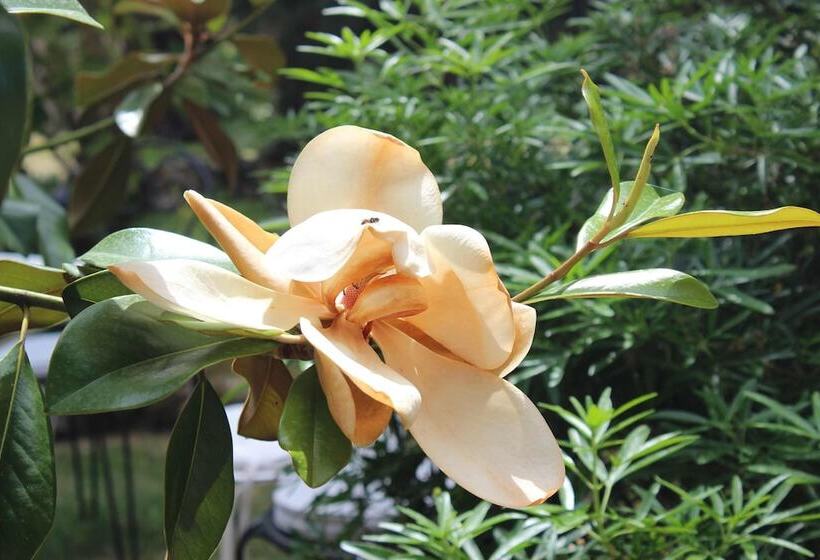 Bed and Breakfast Le Clos Dormont