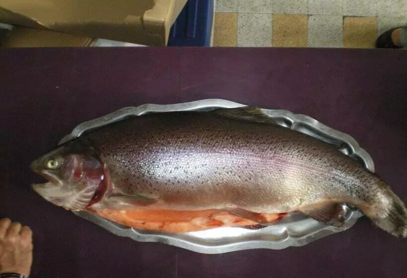 Hotelli Espace Pyrénées Loisirs Campsite