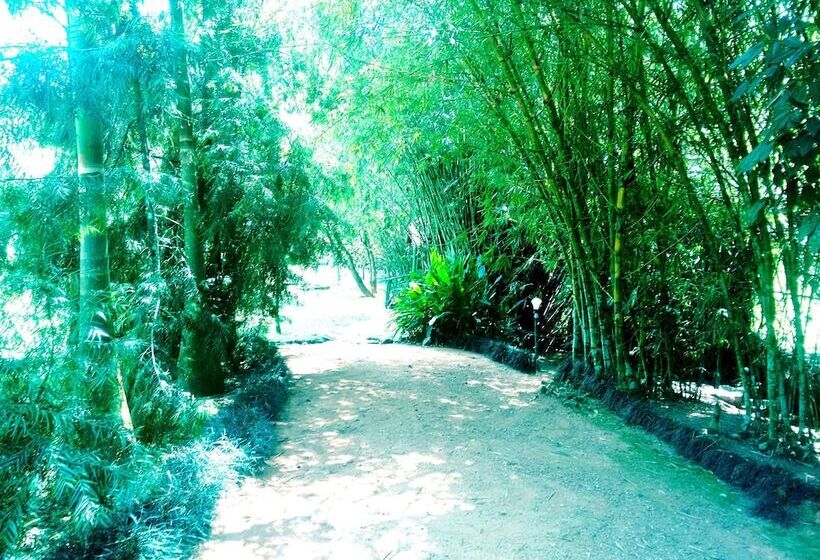 בית מלון כפרי Vythiri Greens Resort