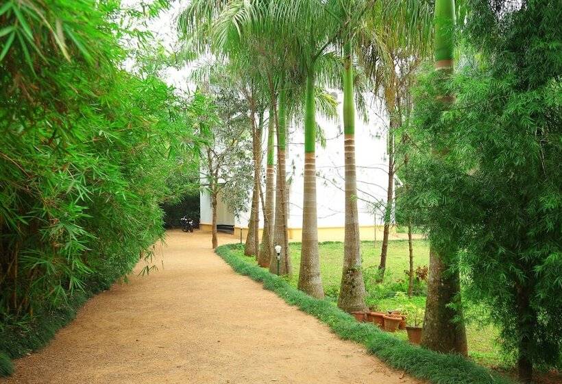 בית מלון כפרי Vythiri Greens Resort