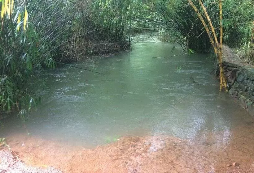 Hotelli Vythiri Greens Resort