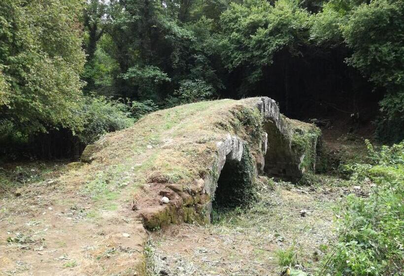 La Ripa Bed And Breakfast