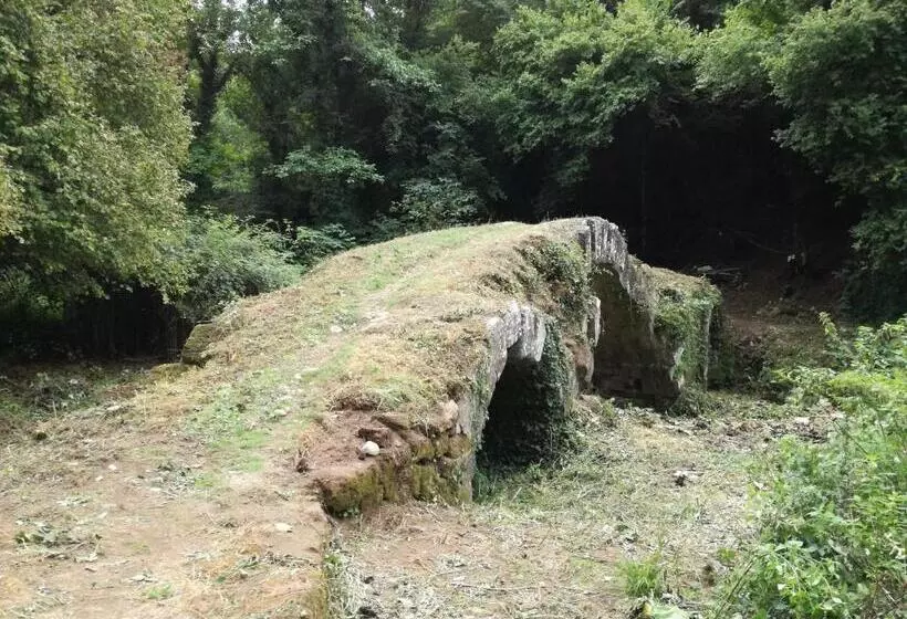 La Ripa Bed And Breakfast