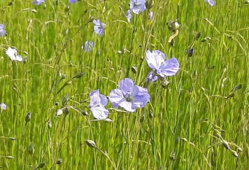 Majatalo Le Clos Des Pensées