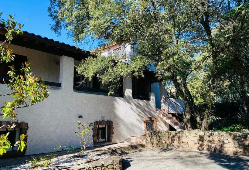 פנסיון Le Patio Bleu